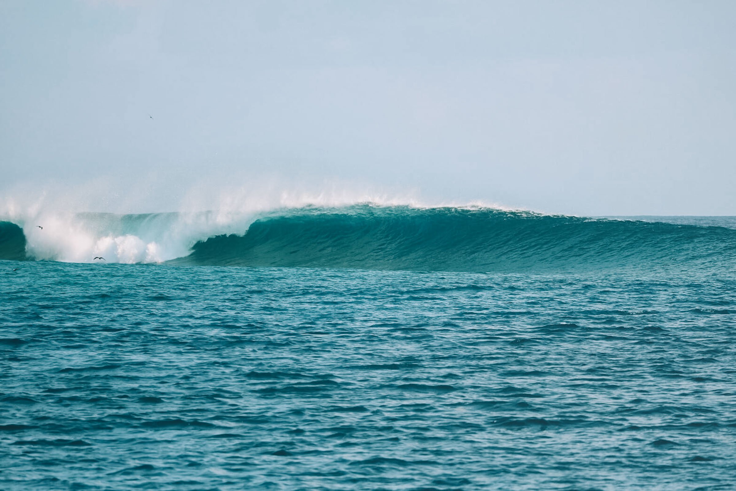 surf trip boat maldives